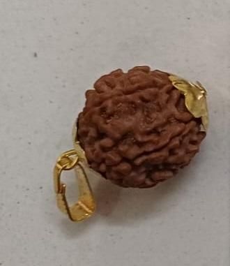 Revolt Rise 7 Mukhi Rudraksha With Cap